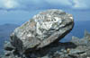 07 Head stone