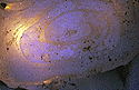 small.gif (10407 bytes)